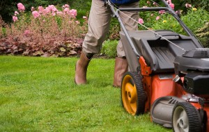 Tipp: Zeit und Arbeit sparen dank Rasenmäher-Roboter